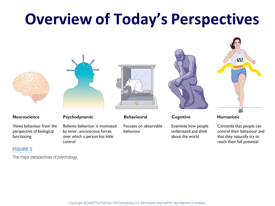 Overview of Today’s Perspectives Copyright © 2009 The McGraw-Hill Companies, Inc.
