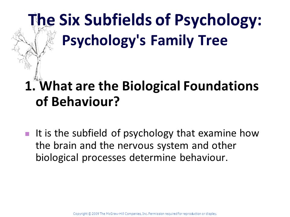 The Six Subfields of Psychology: Psychology s Family Tree 1.