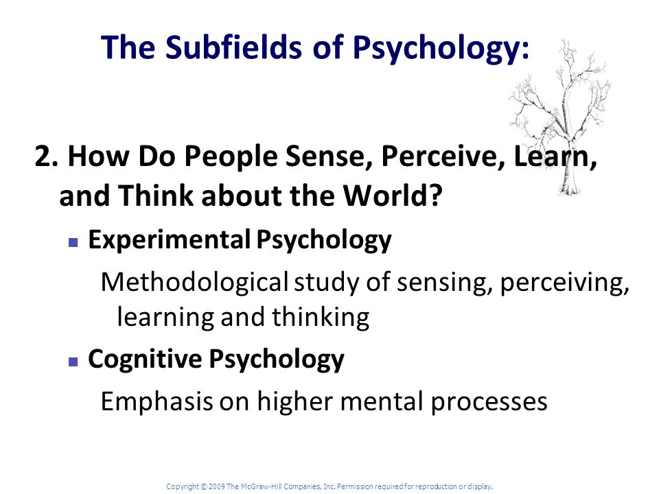The Subfields of Psychology: 2. How Do People Sense, Perceive, Learn, and Think about the World.