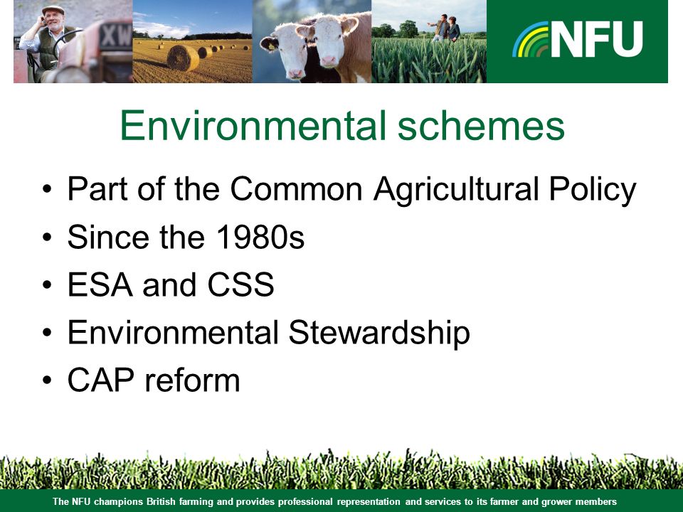 Environmental schemes Part of the Common Agricultural Policy Since the 1980s ESA and CSS Environmental Stewardship CAP reform