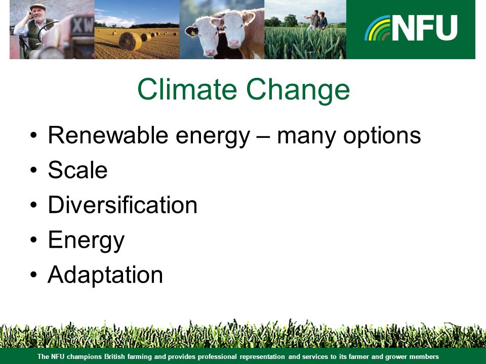 The NFU champions British farming and provides professional representation and services to its farmer and grower members Climate Change Renewable energy – many options Scale Diversification Energy Adaptation