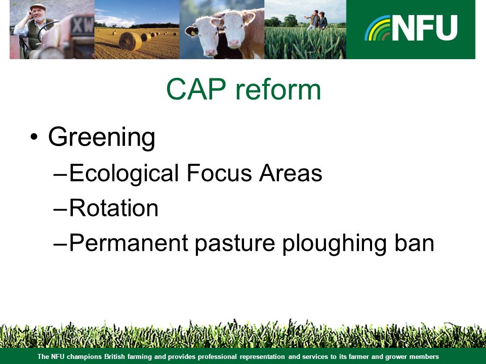 The NFU champions British farming and provides professional representation and services to its farmer and grower members CAP reform Greening –Ecological Focus Areas –Rotation –Permanent pasture ploughing ban