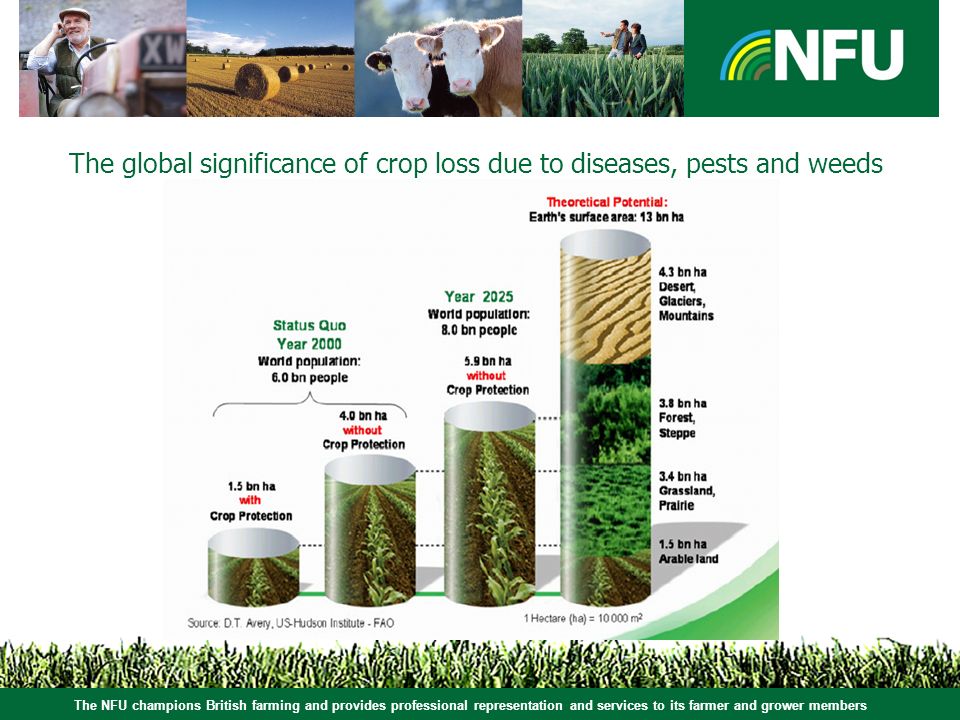 The NFU champions British farming and provides professional representation and services to its farmer and grower members The global significance of crop loss due to diseases, pests and weeds