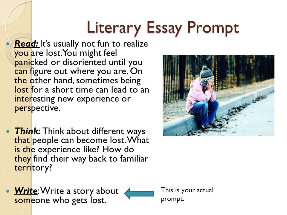 my favorite place essay my favorite place essay