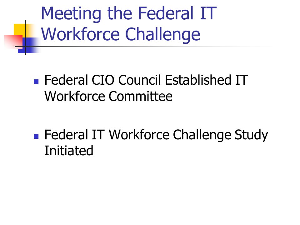 Meeting the Federal IT Workforce Challenge Federal CIO Council Established IT Workforce Committee Federal IT Workforce Challenge Study Initiated