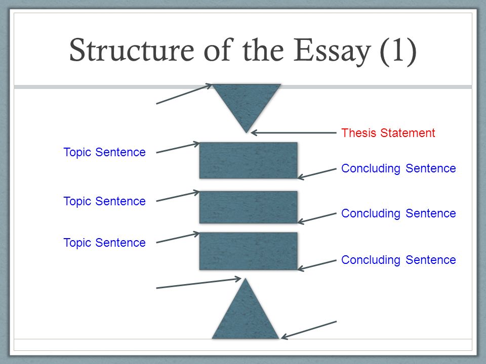 thesis statement for college essay