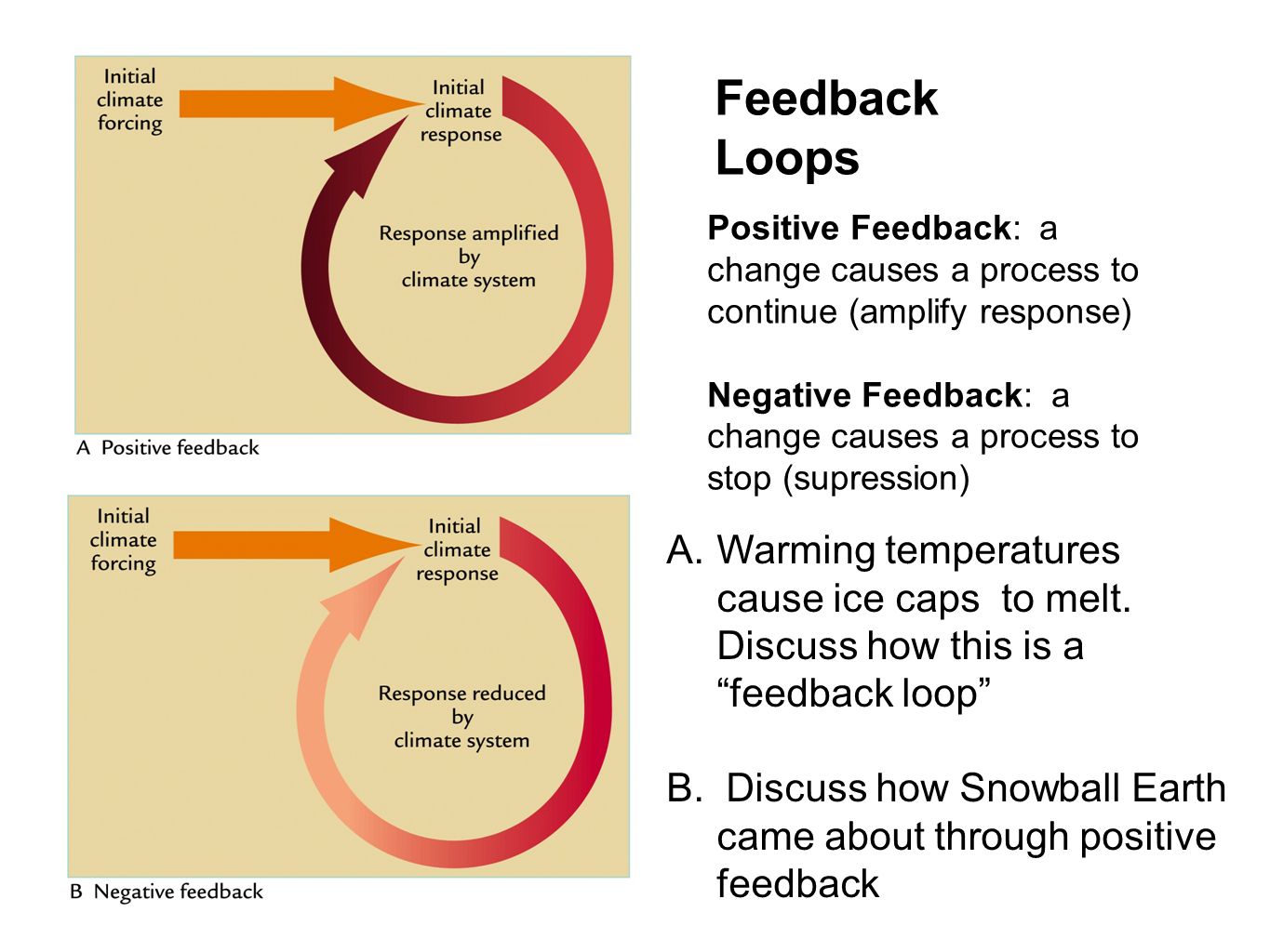 Feedback Loops Positive Feedback: a change causes a process to continue (amplify response) Negative Feedback: a change causes a process to stop (supression) A.Warming temperatures cause ice caps to melt.