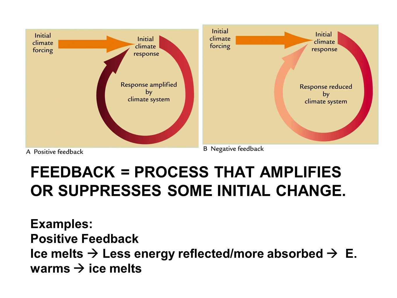 FEEDBACK = PROCESS THAT AMPLIFIES OR SUPPRESSES SOME INITIAL CHANGE.