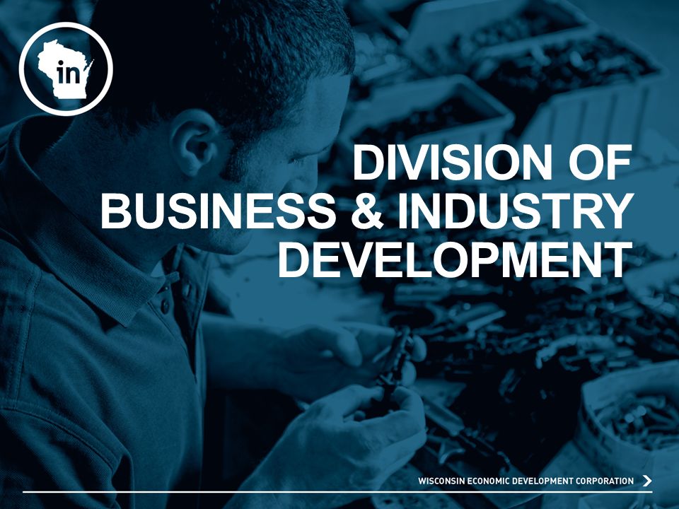 DIVISION OF BUSINESS & INDUSTRY DEVELOPMENT