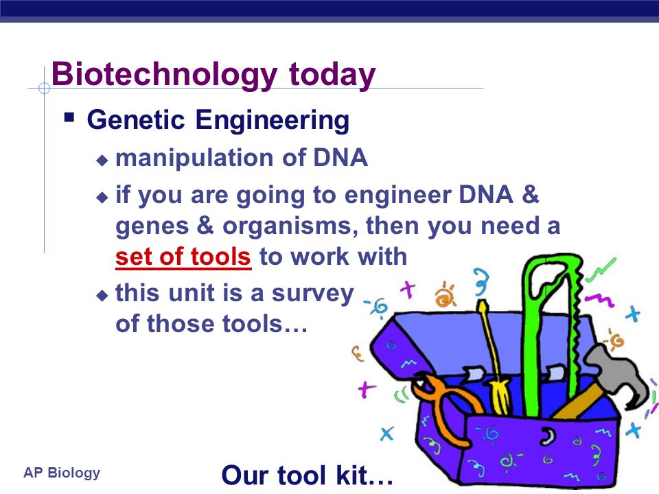 AP Biology Biotechnology today  Genetic Engineering  manipulation of DNA  if you are going to engineer DNA & genes & organisms, then you need a set of tools to work with  this unit is a survey of those tools… Our tool kit…
