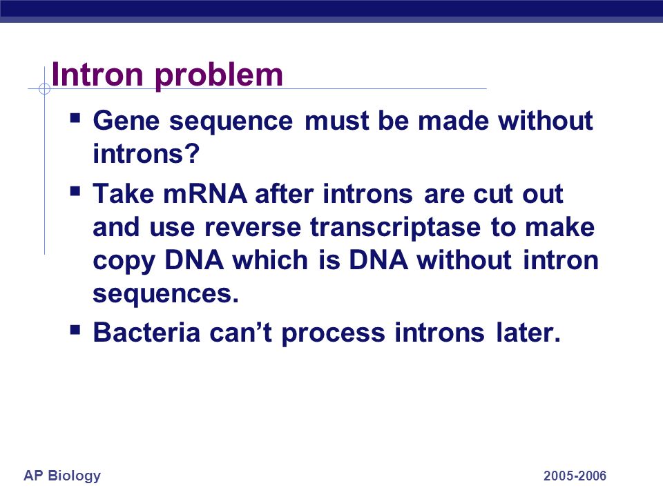AP Biology Intron problem  Gene sequence must be made without introns.
