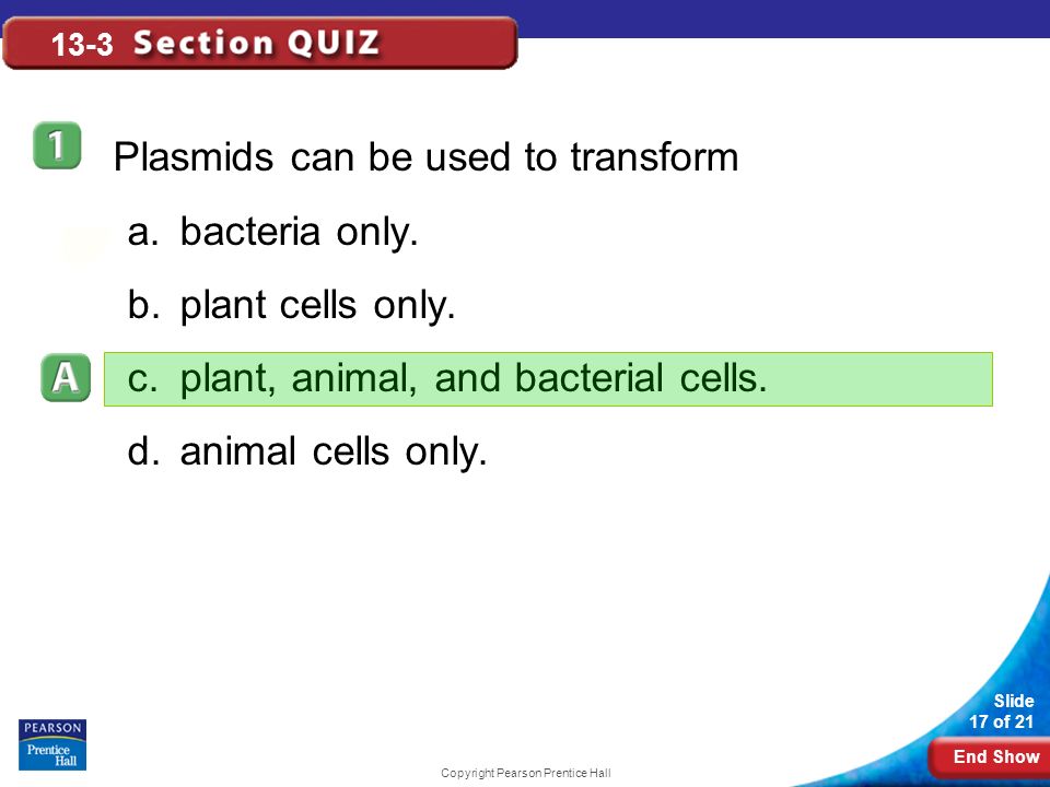 End Show Slide 17 of 21 Copyright Pearson Prentice Hall 13-3 Plasmids can be used to transform a.bacteria only.