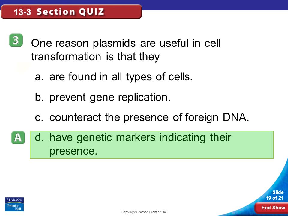 End Show Slide 19 of 21 Copyright Pearson Prentice Hall 13-3 One reason plasmids are useful in cell transformation is that they a.are found in all types of cells.