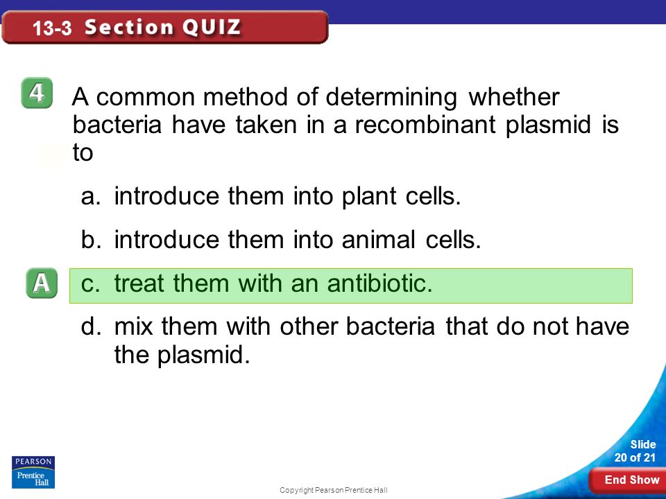 End Show Slide 20 of 21 Copyright Pearson Prentice Hall 13-3 A common method of determining whether bacteria have taken in a recombinant plasmid is to a.introduce them into plant cells.