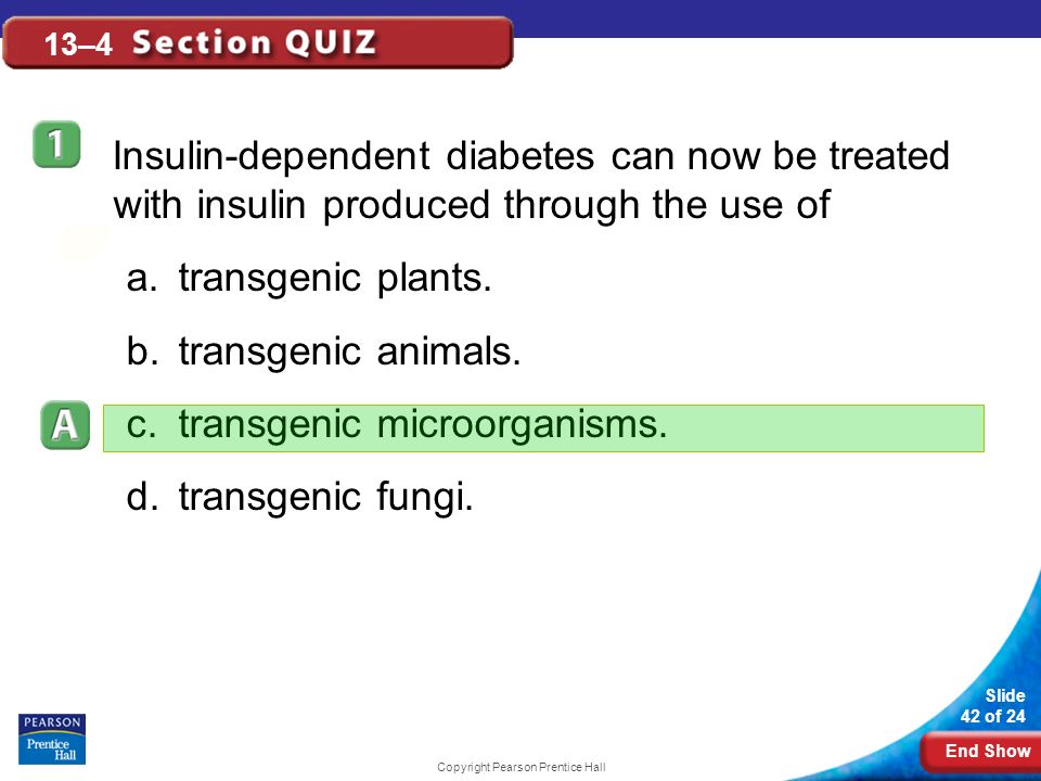 End Show Slide 42 of 24 Copyright Pearson Prentice Hall 13–4 Insulin-dependent diabetes can now be treated with insulin produced through the use of a.transgenic plants.