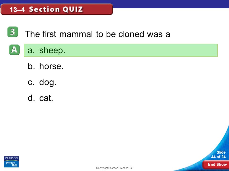 End Show Slide 44 of 24 Copyright Pearson Prentice Hall 13–4 The first mammal to be cloned was a a.sheep.