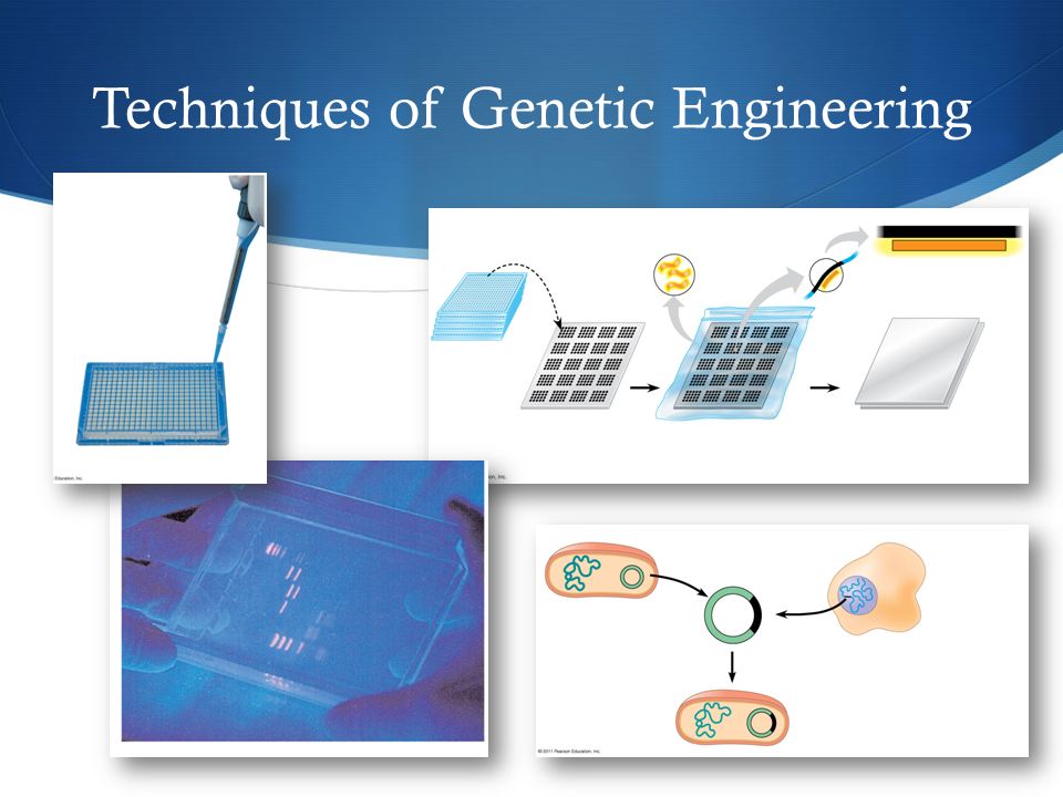 Techniques of Genetic Engineering