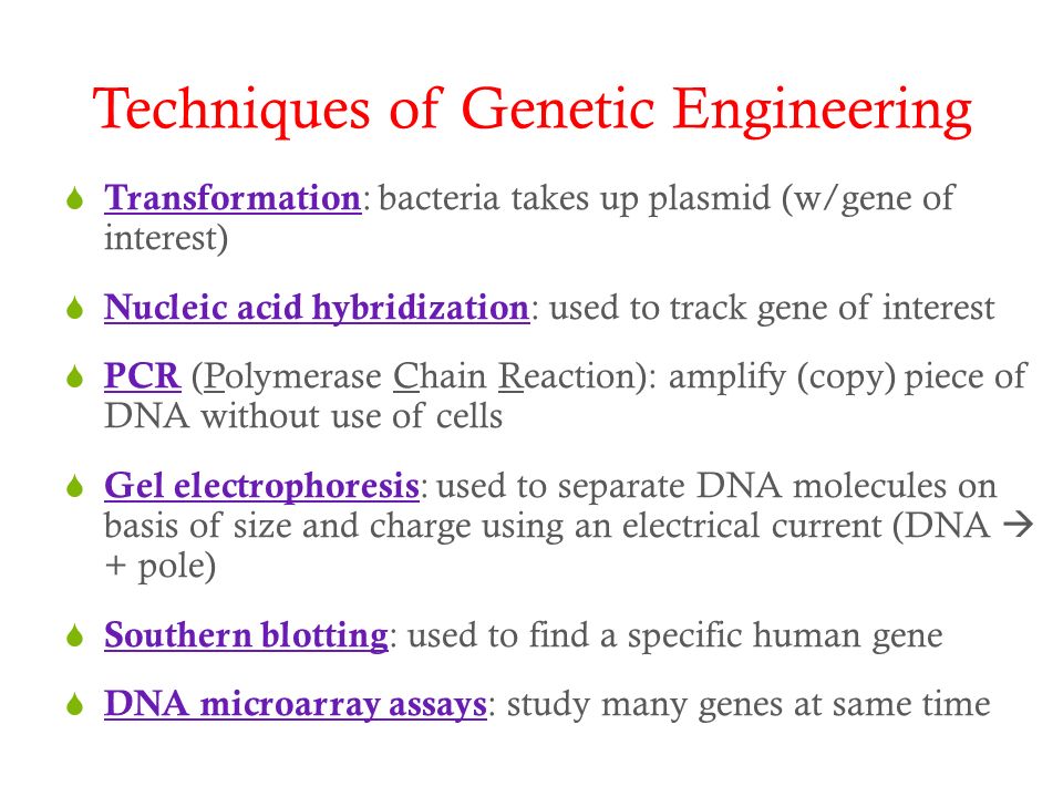  Transformation : bacteria takes up plasmid (w/gene of interest)  Nucleic acid hybridization : used to track gene of interest  PCR (Polymerase Chain Reaction): amplify (copy) piece of DNA without use of cells  Gel electrophoresis : used to separate DNA molecules on basis of size and charge using an electrical current (DNA  + pole)  Southern blotting : used to find a specific human gene  DNA microarray assays : study many genes at same time