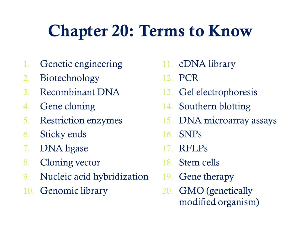 Chapter 20: Terms to Know 1. Genetic engineering 2.