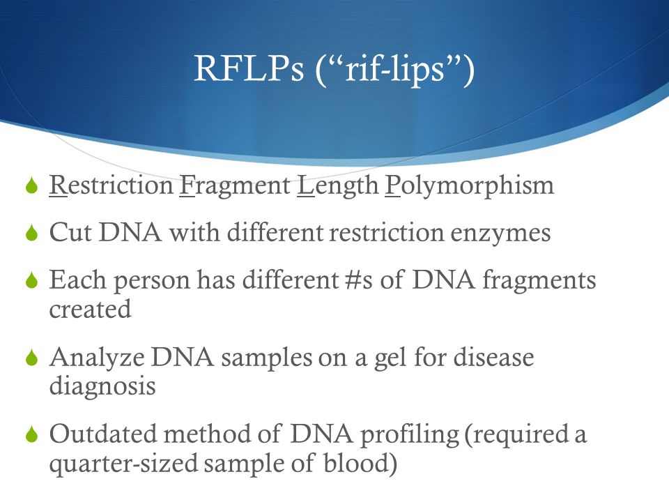 RFLPs ( rif-lips )  Restriction Fragment Length Polymorphism  Cut DNA with different restriction enzymes  Each person has different #s of DNA fragments created  Analyze DNA samples on a gel for disease diagnosis  Outdated method of DNA profiling (required a quarter-sized sample of blood)