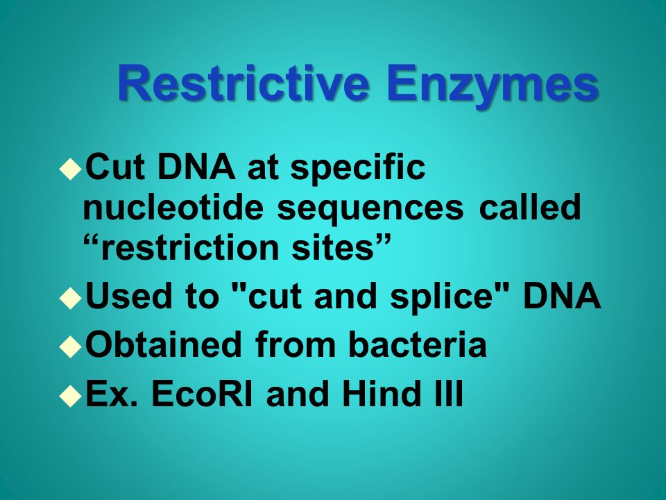 Restrictive Enzymes u Cut DNA at specific nucleotide sequences called restriction sites u Used to cut and splice DNA u Obtained from bacteria u Ex.