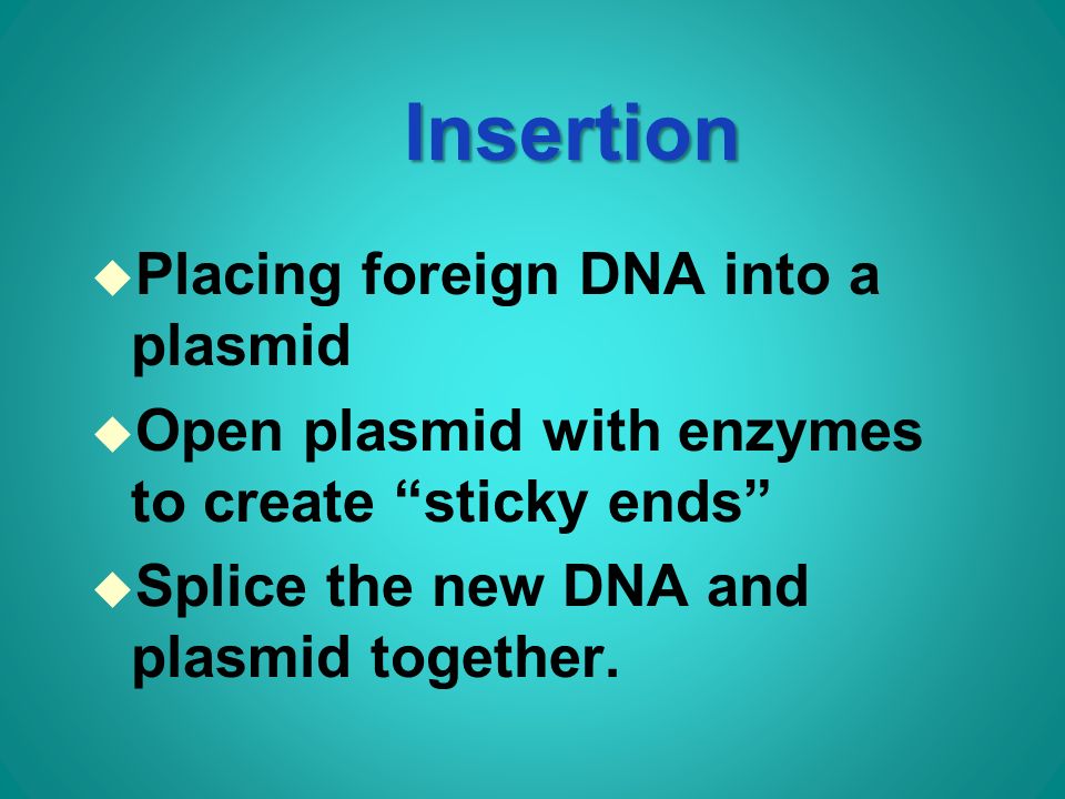 Insertion u Placing foreign DNA into a plasmid u Open plasmid with enzymes to create sticky ends u Splice the new DNA and plasmid together.