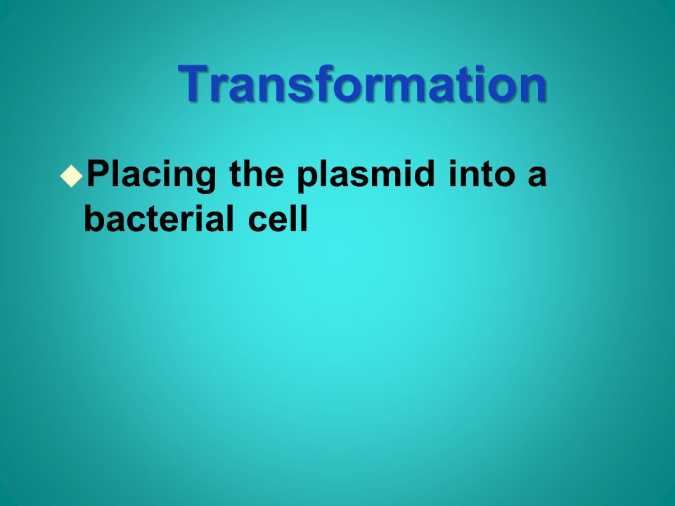 Transformation u Placing the plasmid into a bacterial cell