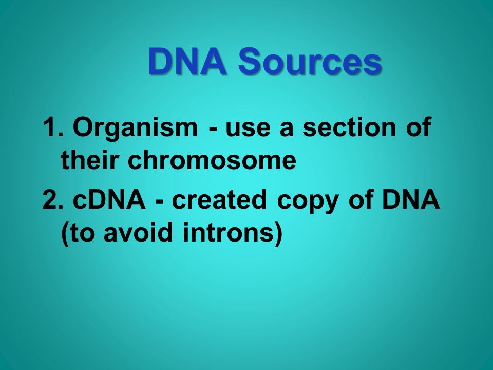 DNA Sources 1. Organism - use a section of their chromosome 2.
