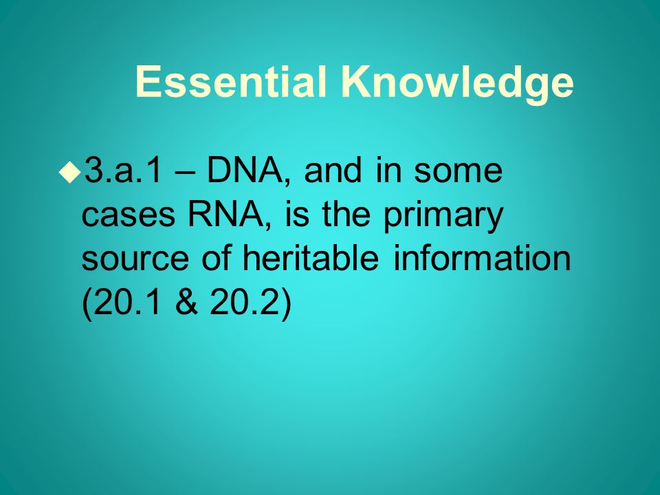 Essential Knowledge u 3.a.1 – DNA, and in some cases RNA, is the primary source of heritable information (20.1 & 20.2)