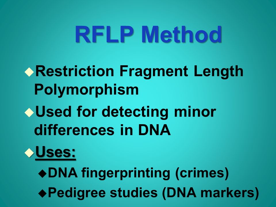 RFLP Method u Restriction Fragment Length Polymorphism u Used for detecting minor differences in DNA u Uses: u DNA fingerprinting (crimes) u Pedigree studies (DNA markers)