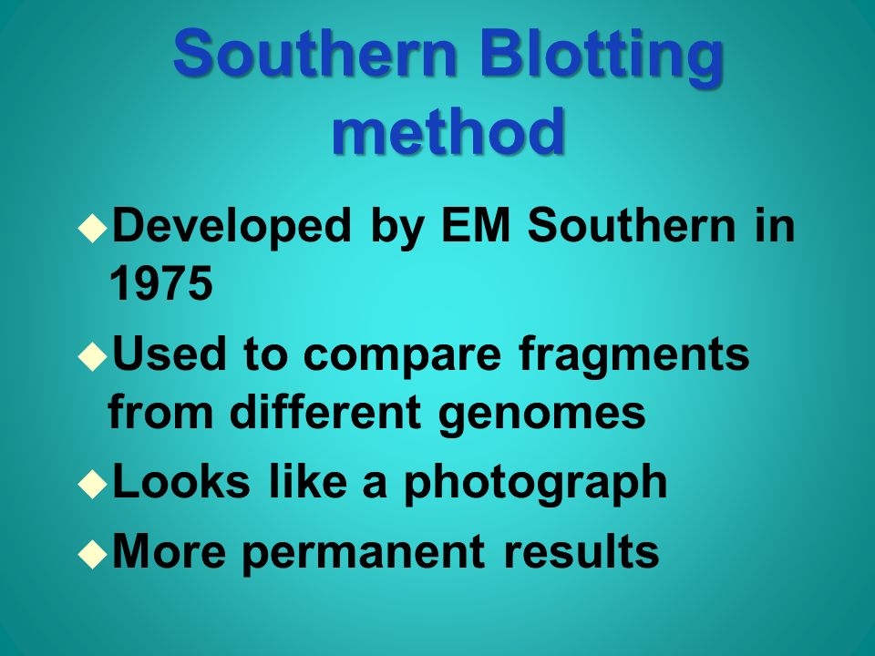 Southern Blotting method u Developed by EM Southern in 1975 u Used to compare fragments from different genomes u Looks like a photograph u More permanent results
