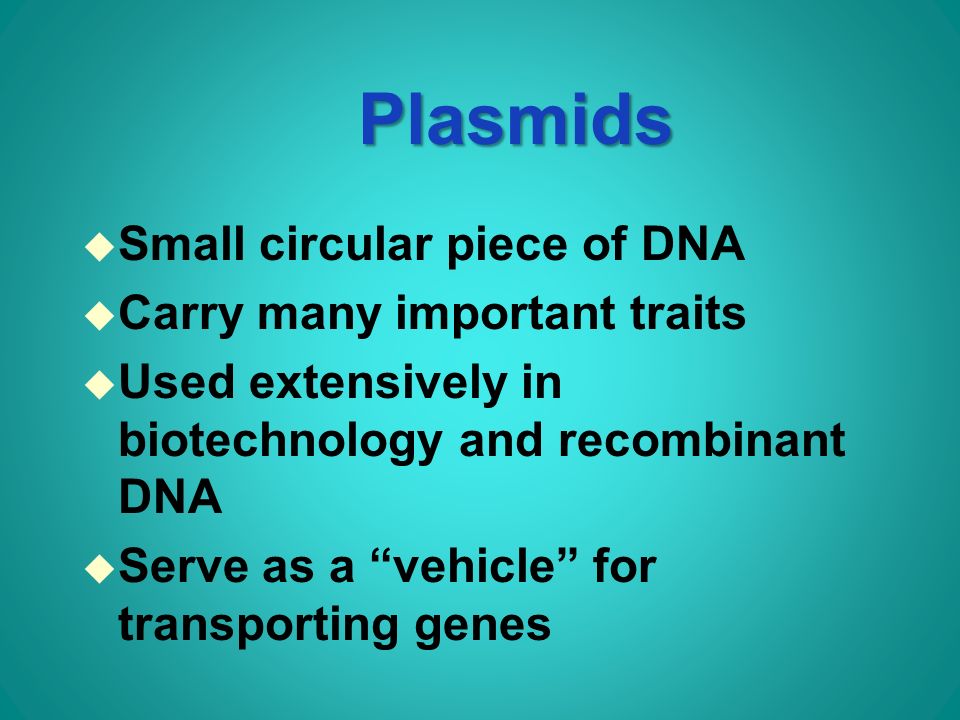 Plasmids u Small circular piece of DNA u Carry many important traits u Used extensively in biotechnology and recombinant DNA u Serve as a vehicle for transporting genes