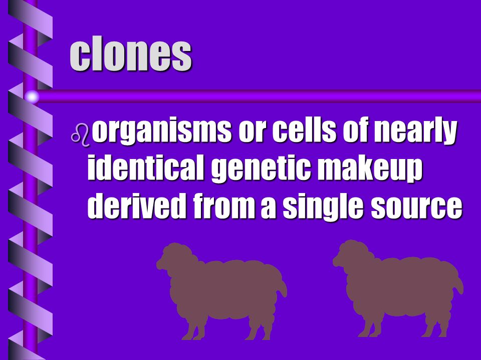 Genetics and Genetic Engineering terms
