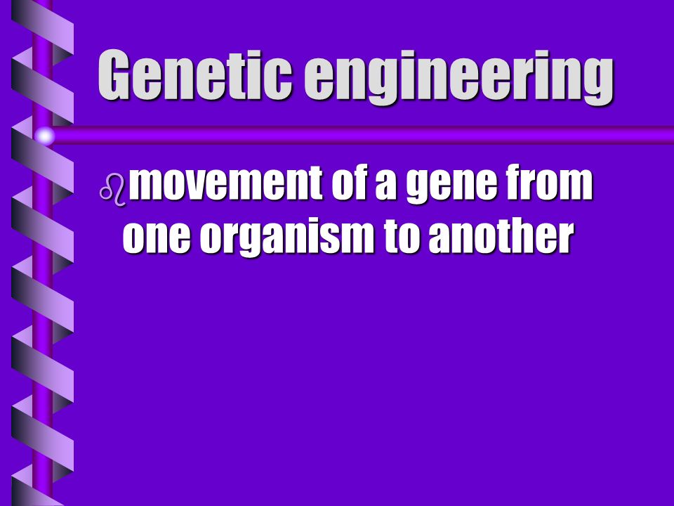 Genetic engineering b technology involved in removing, modifying, or adding genes to a DNA molecule
