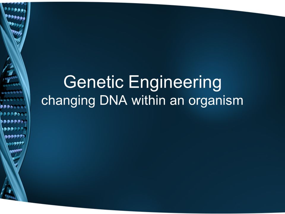 Genetic Engineering changing DNA within an organism