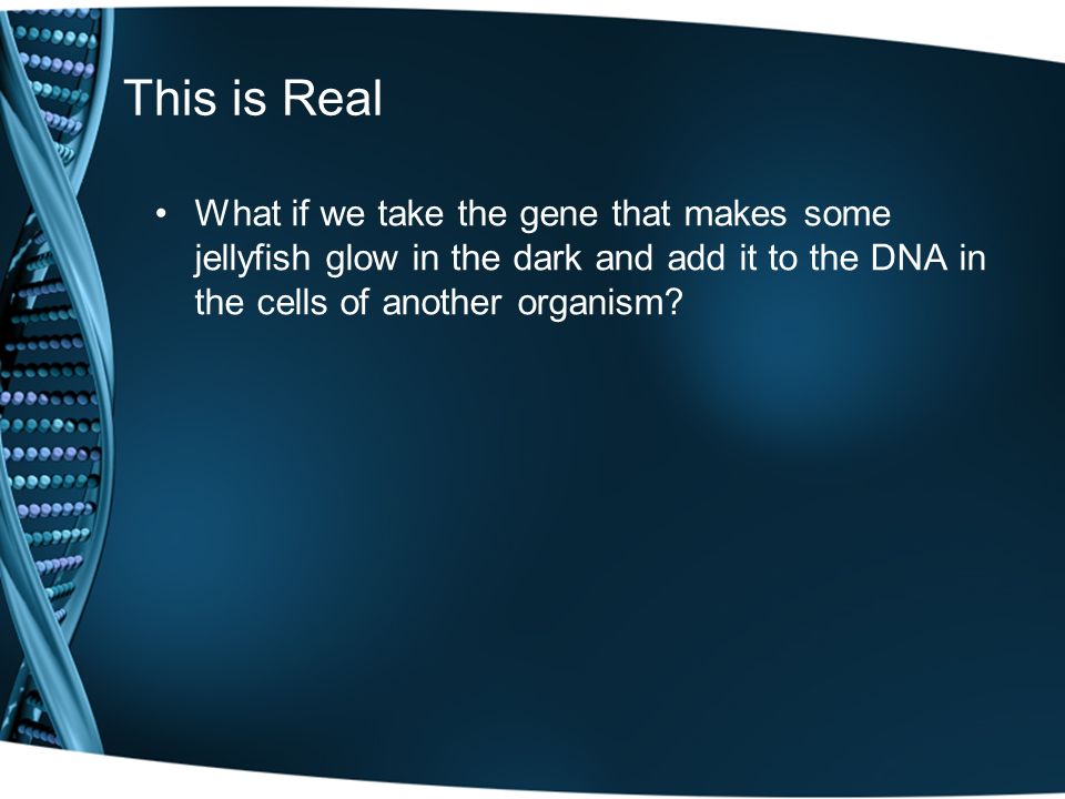 This is Real What if we take the gene that makes some jellyfish glow in the dark and add it to the DNA in the cells of another organism