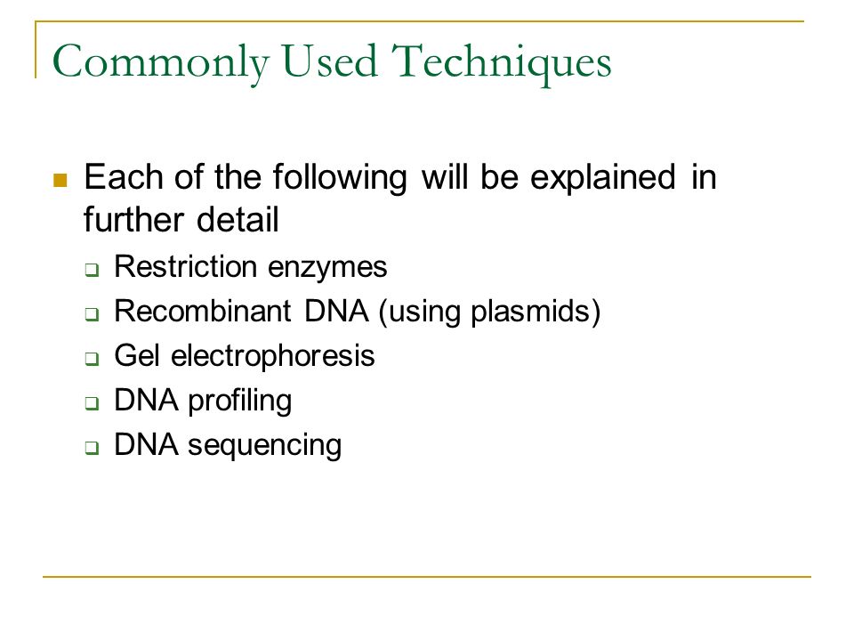 Think Pair Share What is DNA profiling How is DNA profiling used How is the process performed