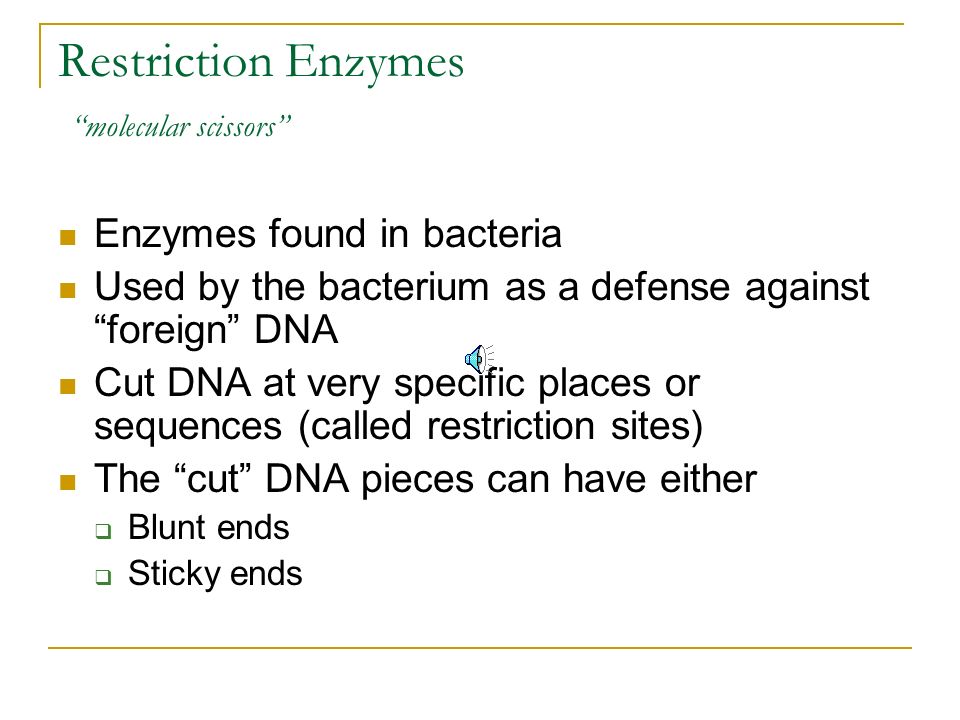 Commonly Used Techniques Each of the following will be explained in further detail  Restriction enzymes  Recombinant DNA (using plasmids)  Gel electrophoresis  DNA profiling  DNA sequencing