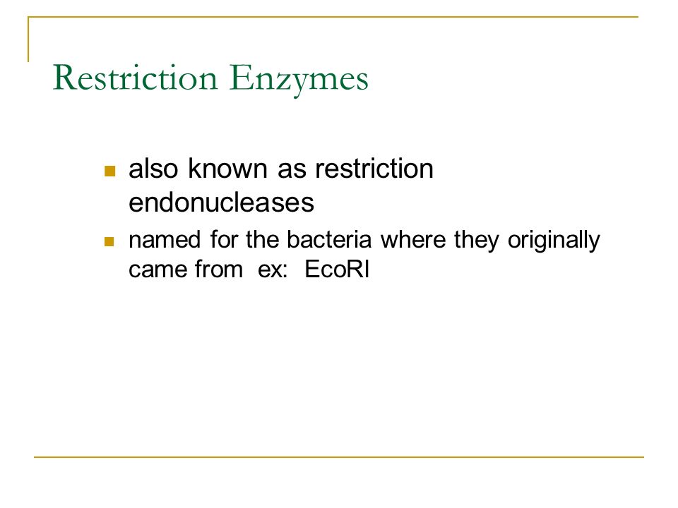 Restriction Enzymes molecular scissors Enzymes found in bacteria Used by the bacterium as a defense against foreign DNA Cut DNA at very specific places or sequences (called restriction sites) The cut DNA pieces can have either  Blunt ends  Sticky ends