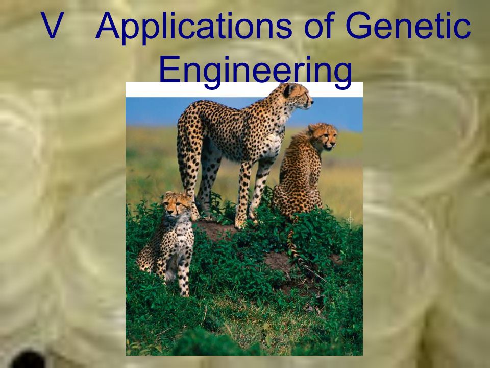 V Applications of Genetic Engineering
