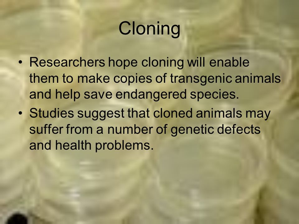 Cloning Researchers hope cloning will enable them to make copies of transgenic animals and help save endangered species.