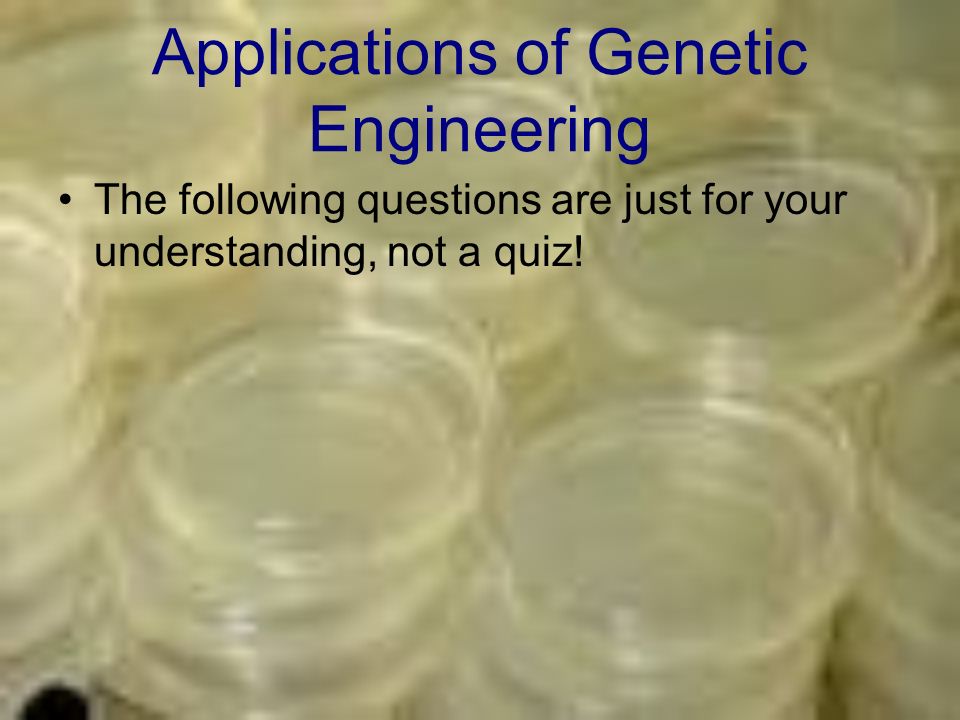 Applications of Genetic Engineering The following questions are just for your understanding, not a quiz!