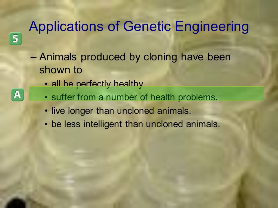 Applications of Genetic Engineering –Animals produced by cloning have been shown to all be perfectly healthy.