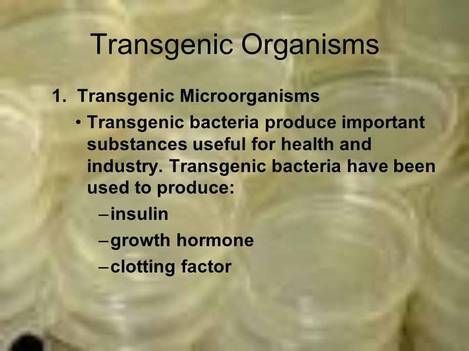 Transgenic Organisms 1.