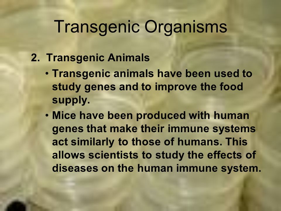 Transgenic Organisms 2.
