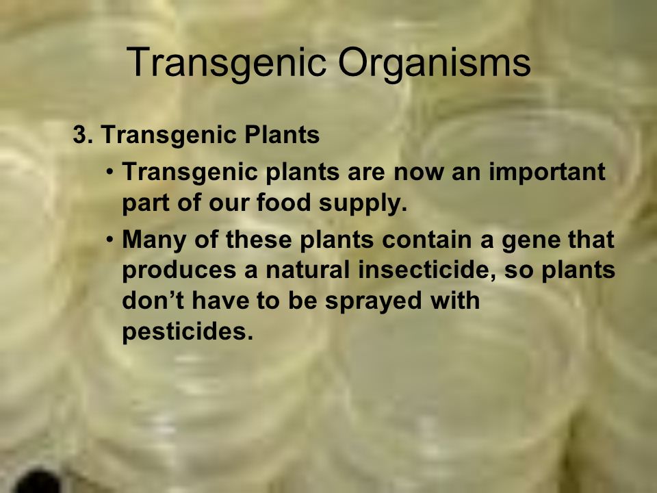 Transgenic Organisms 3.