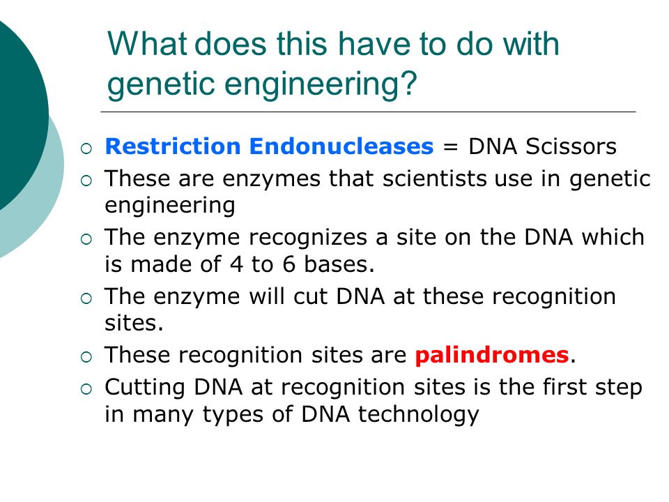 What does this have to do with genetic engineering.