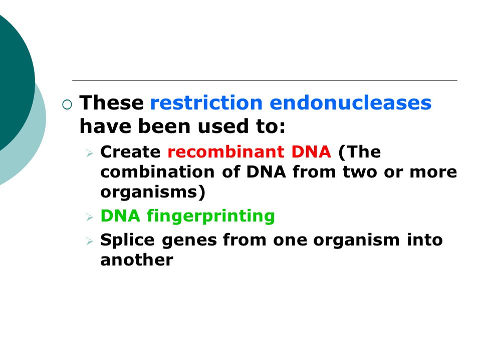  These restriction endonucleases have been used to:  Create recombinant DNA (The combination of DNA from two or more organisms)  DNA fingerprinting  Splice genes from one organism into another