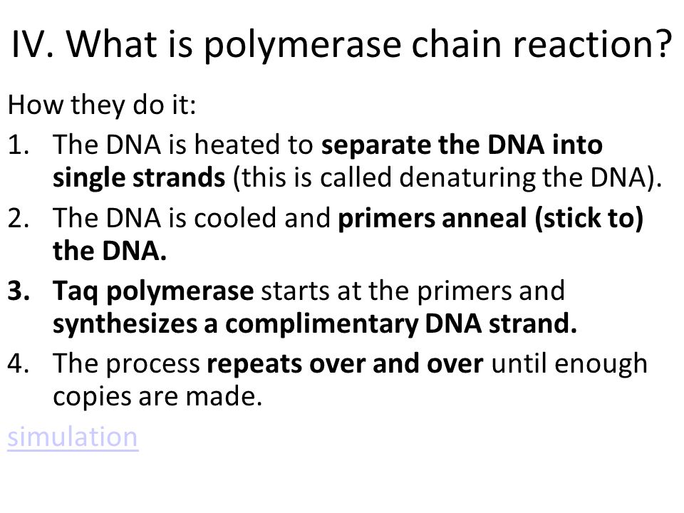 IV. What is polymerase chain reaction.