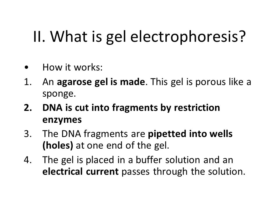 II. What is gel electrophoresis. How it works: 1.An agarose gel is made.
